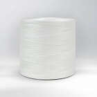 Heat Shrinkable Polyester Lacing Cord white